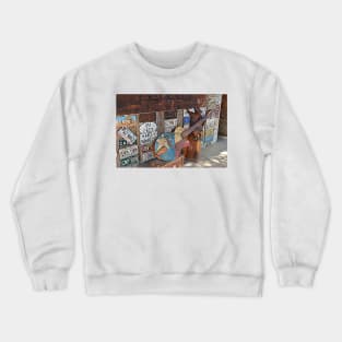 Luckenbach Texas Armadillo Guitar Crewneck Sweatshirt